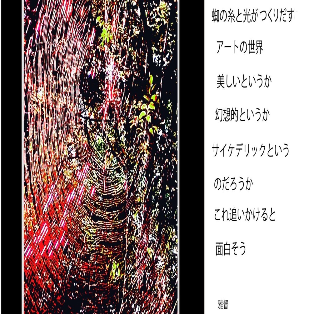 スマホカメラを愉しむ 蜘蛛の巣と光がつくり出すアートの世界｜gatokukubo