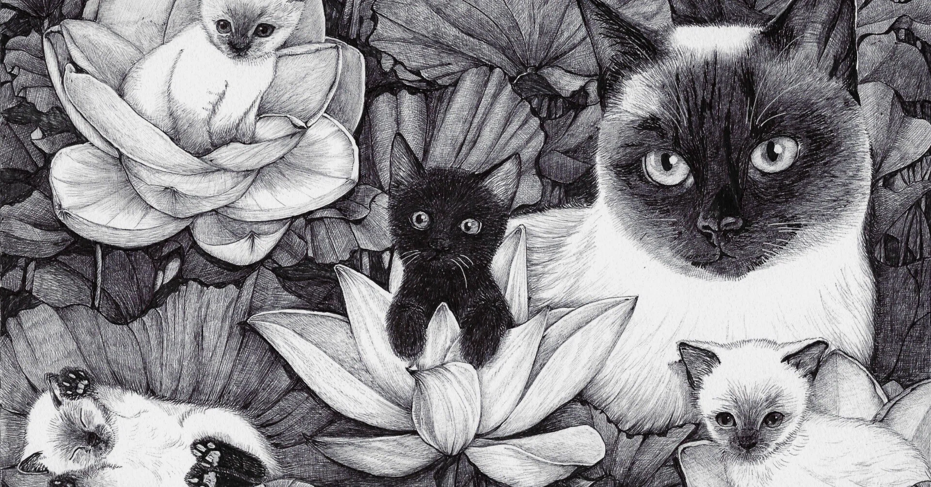 絵画 。原画☆【美しい花畑にきれいな花を植えたかわいいシャム猫】 シャム猫とお花のシリーズ｜ねこのおなか