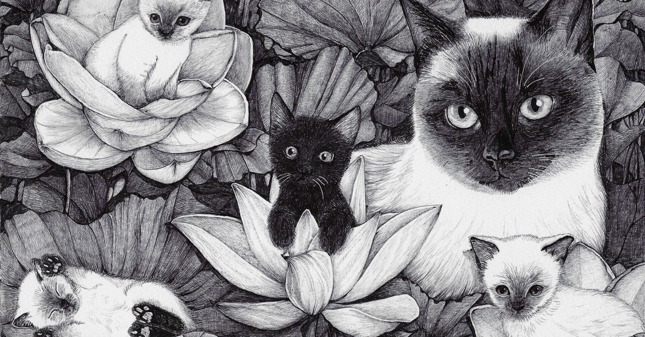 ランキング上位のプレゼント シャム猫とお花のシリーズ｜ねこのおなか 絵画