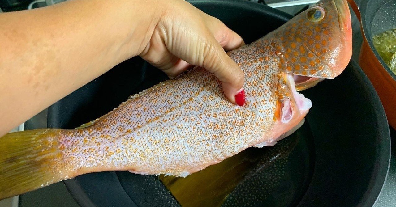 食べるまでが釣り の新着タグ記事一覧 Note つくる つながる とどける