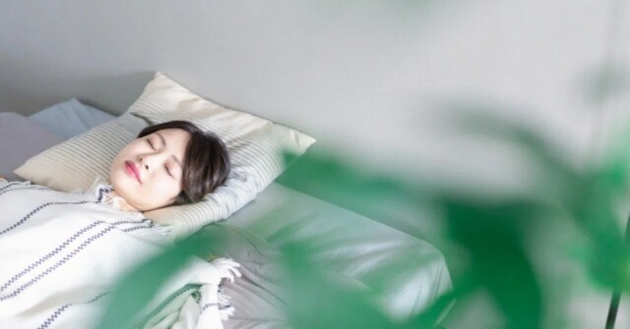 見たい夢を見ながら寝たい！寝ている時、夢見ていますか？その意味を考えてみませんか？｜シンプルフレーズ