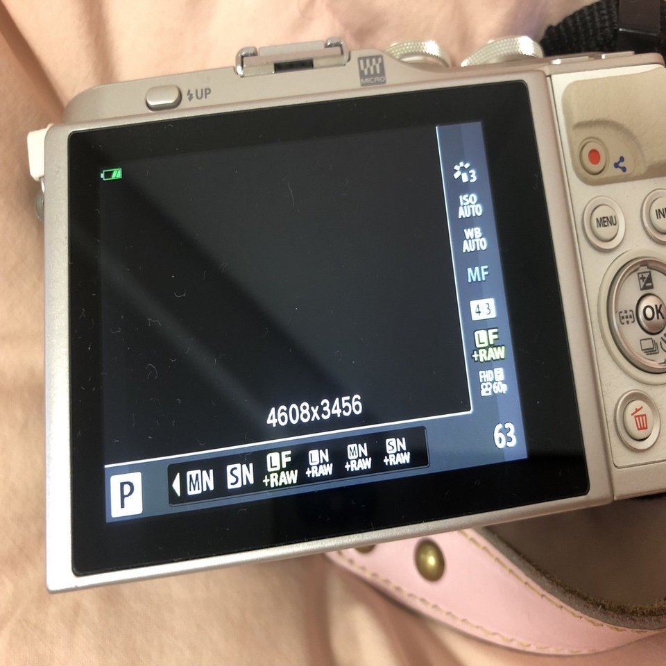 ミラーレス一眼を新調しました（アプリレビューあり）｜あきにゃん