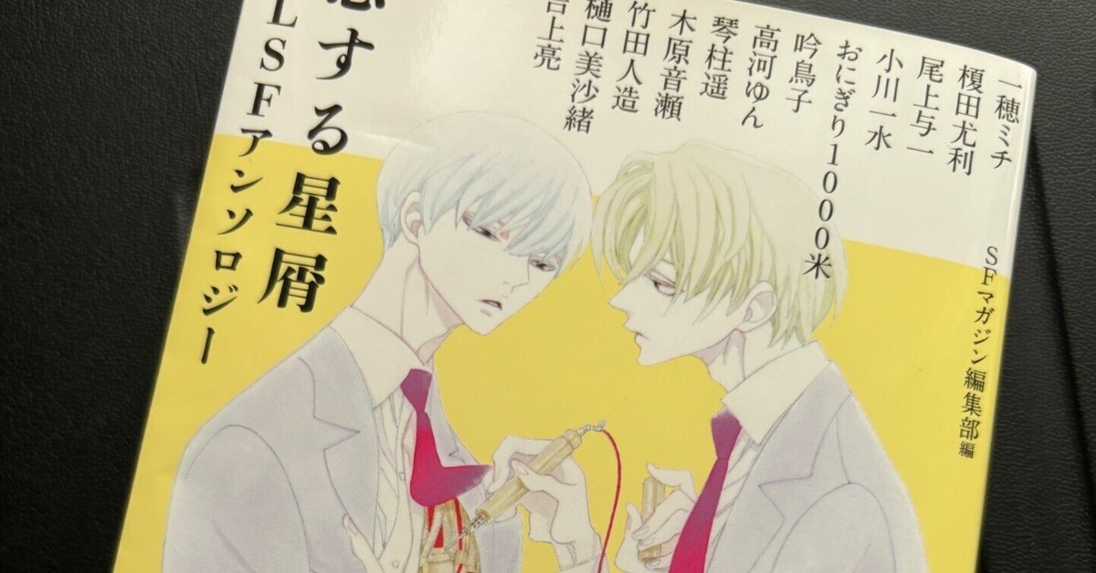 高河ゆん　公認FC会報・会誌他 高河ゆん 公認ファンクラブ 会報誌 全24冊