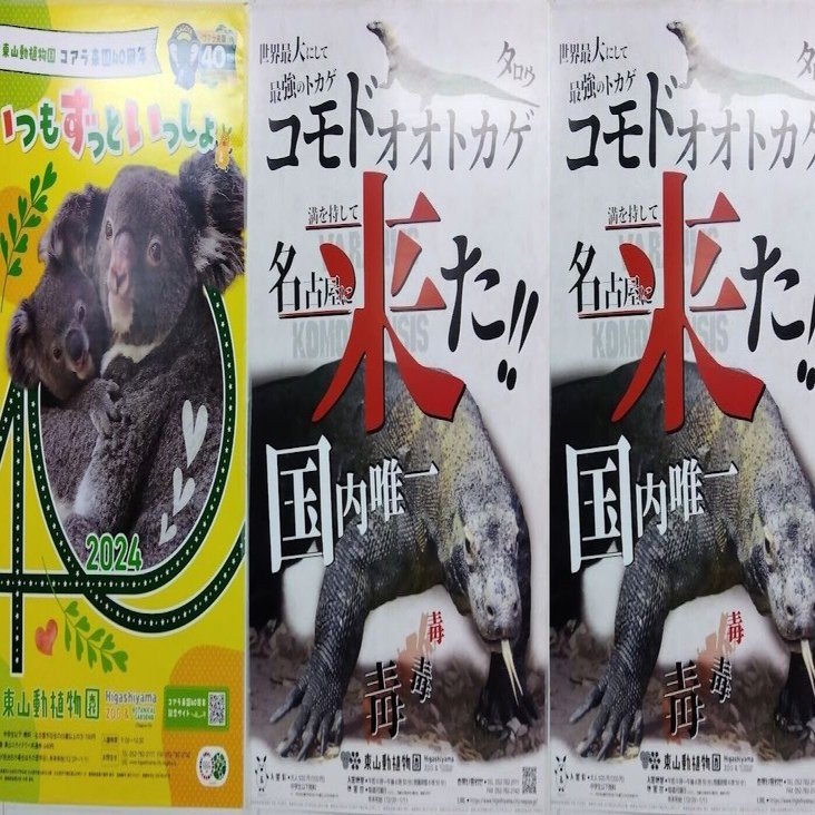 おじぼっち、コモドドラゴンを見に行く｜おじぼっちの流儀