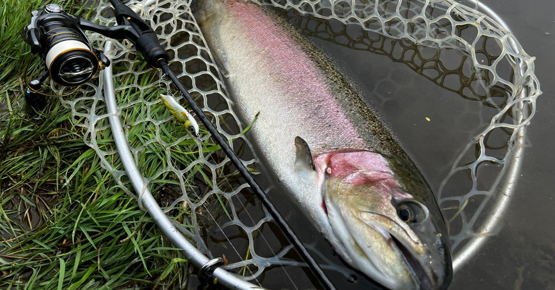 0cd8feaeecde8737988430da239faa