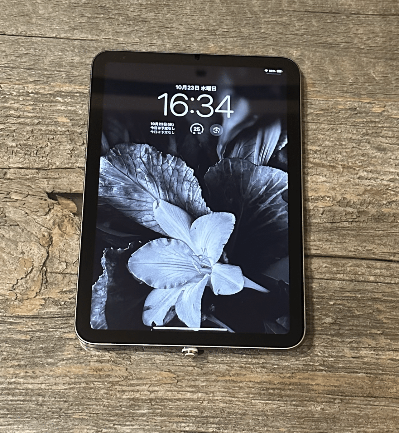 クロネコちゃん 様　iPad mini (A17Pro) 128GB iPad mini Wi-Fi + Cellular 256GB - Purple (A17 Pro) – iStudio