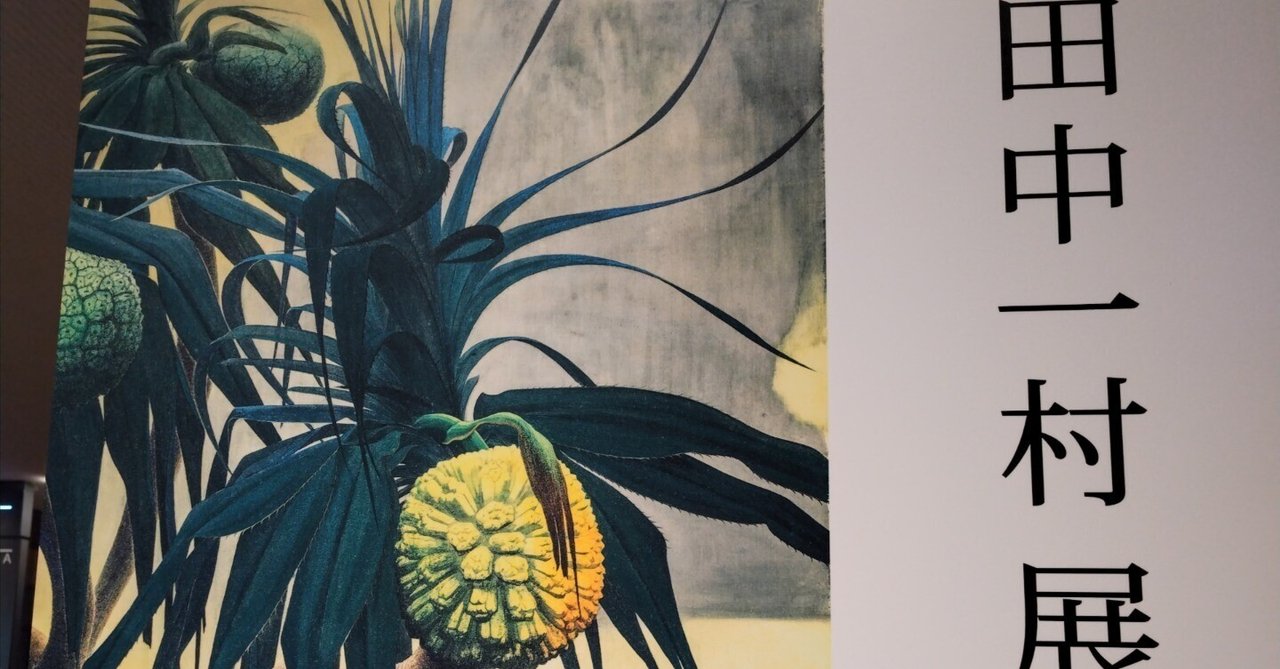 田中一村】記念美術館製 絵柄12種「忍冬に尾長鳥（ニンドウに