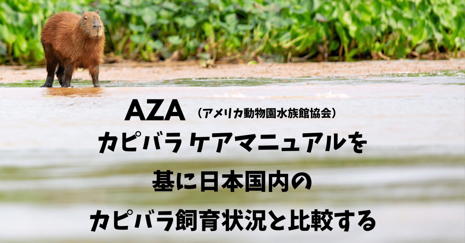 AZA （アメリカ動物園水族館協会）カピバラケアマニュアルを基に日本