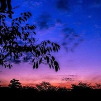 胎動が少ないと心配の方へ 産婦人科医とみー Note 胎動が少ないと心配の方へ 産婦人科医とみー Note