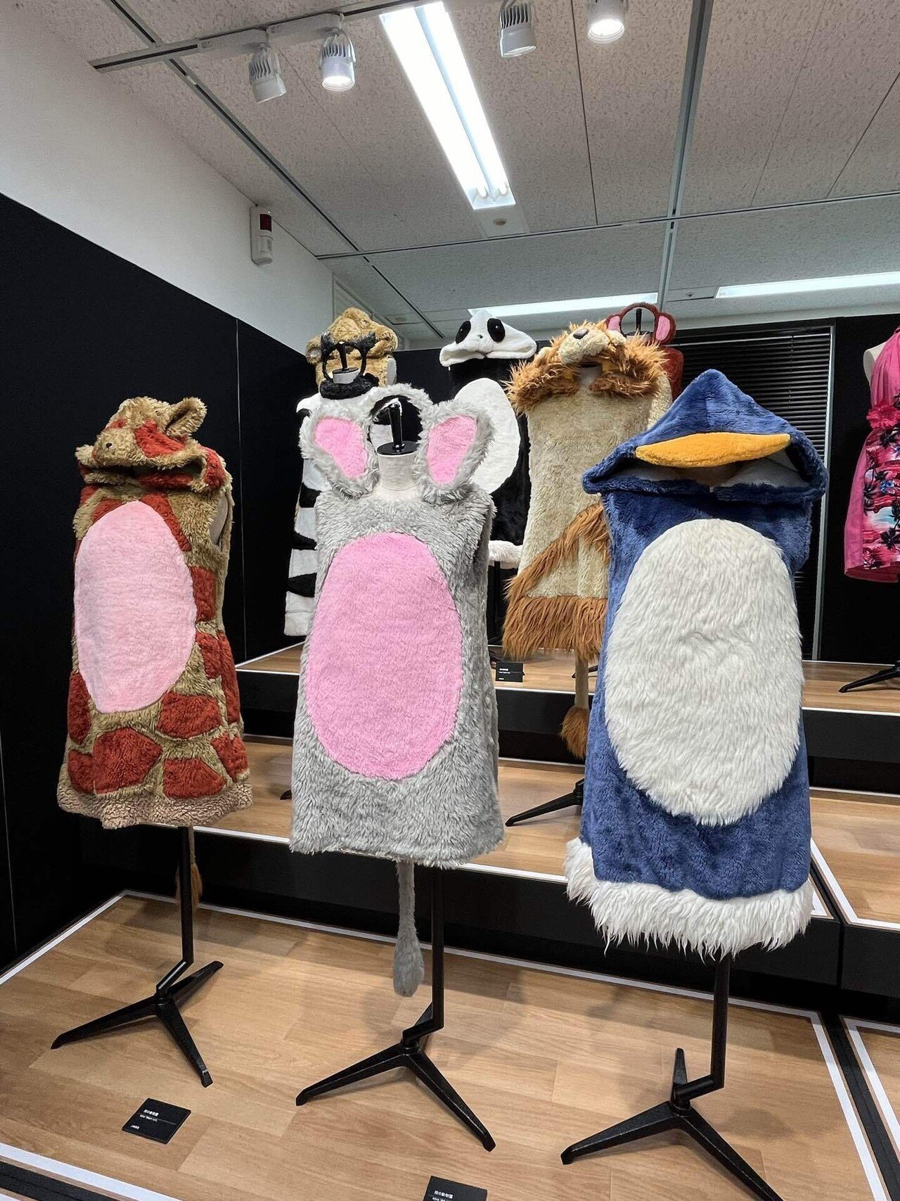 みんながいること、支えだった〜AKB48劇場衣装展に行った〜|あまの みんながいること、支えだった〜AKB48劇場衣装展に行った〜|あまの
