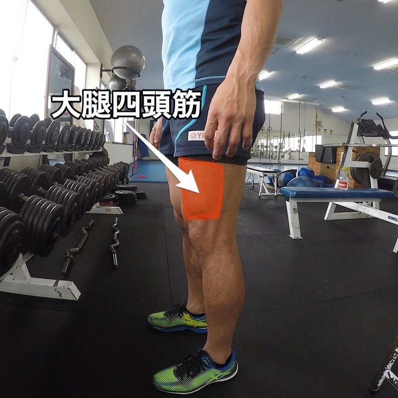 レッグエクステンションやり方 鍛えにくい所に強い負荷を入れる方法 じーやま 山路和希 Note レッグエクステンションやり方 鍛えにくい所に強い負荷を入れる方法 じーやま 山路和希 Note