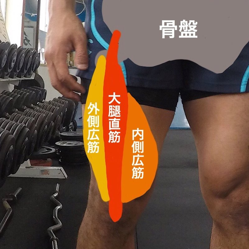 レッグエクステンションやり方 鍛えにくい所に強い負荷を入れる方法 じーやま 山路和希 Note レッグエクステンションやり方 鍛えにくい所に強い負荷を入れる方法 じーやま 山路和希 Note