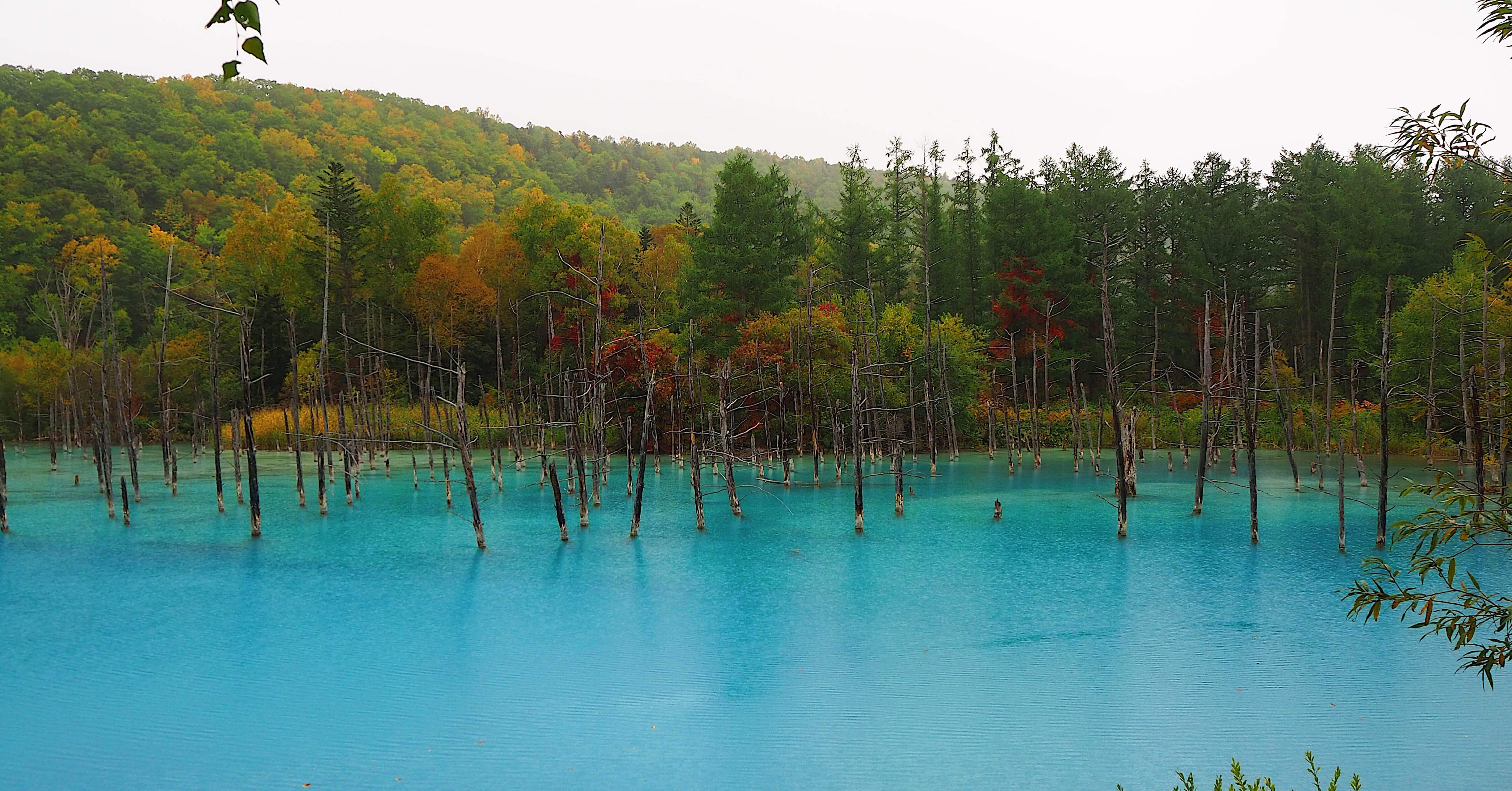 【オーダー用】北海道の風景写真 オーダー用】北海道の風景写真 オーダー用】北海道の風景写真 オーダー