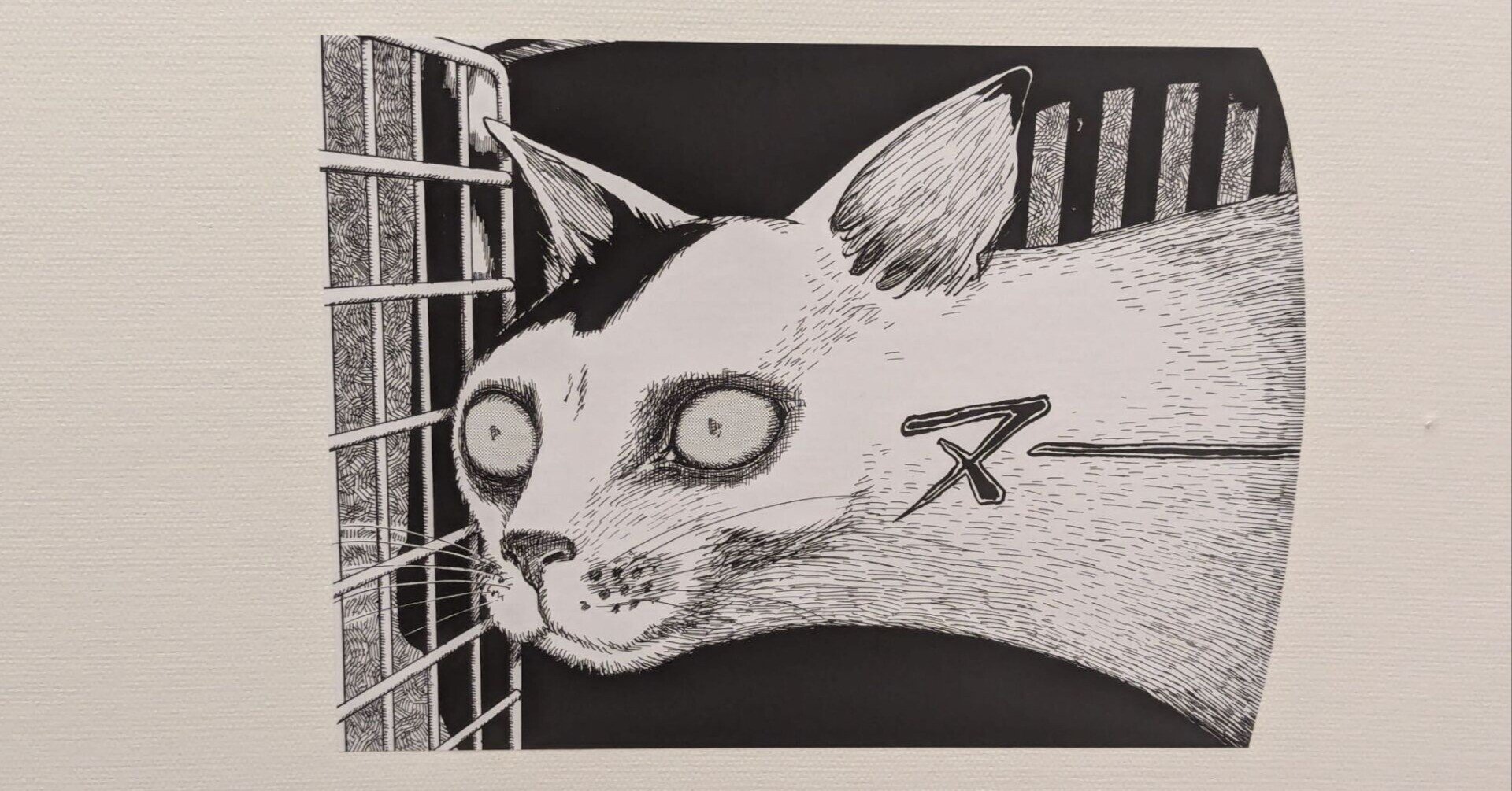 伊丹十三監督コレクション【韓国版】 d5f7217d3d691ccab9da3668d6e855