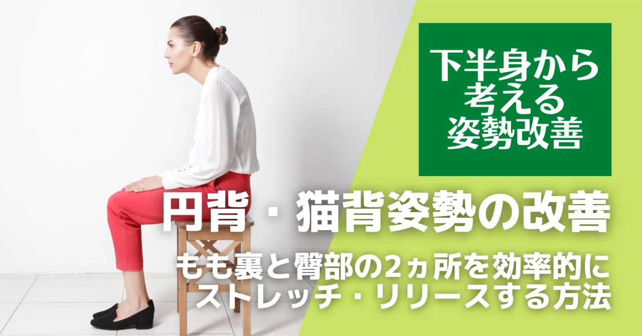 円背・猫背姿勢を下半身から改善する。もも裏と臀部の2ヵ所を効率的にストレッチ・リリースする方法｜宮城島大樹＠日本で最もトレーナーを育成してるトレーナー
