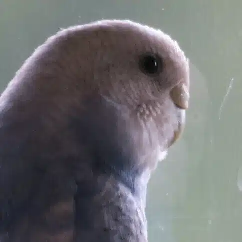 じぇーむずもんど