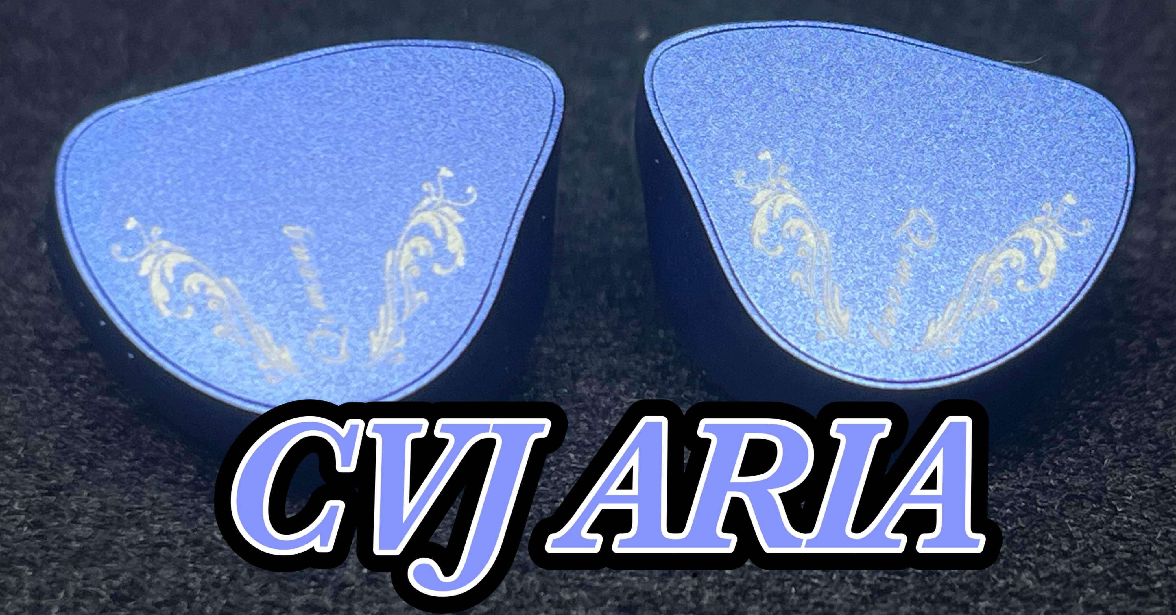 Linsoul_JP】CVJ ARIA レビュー｜のぶ