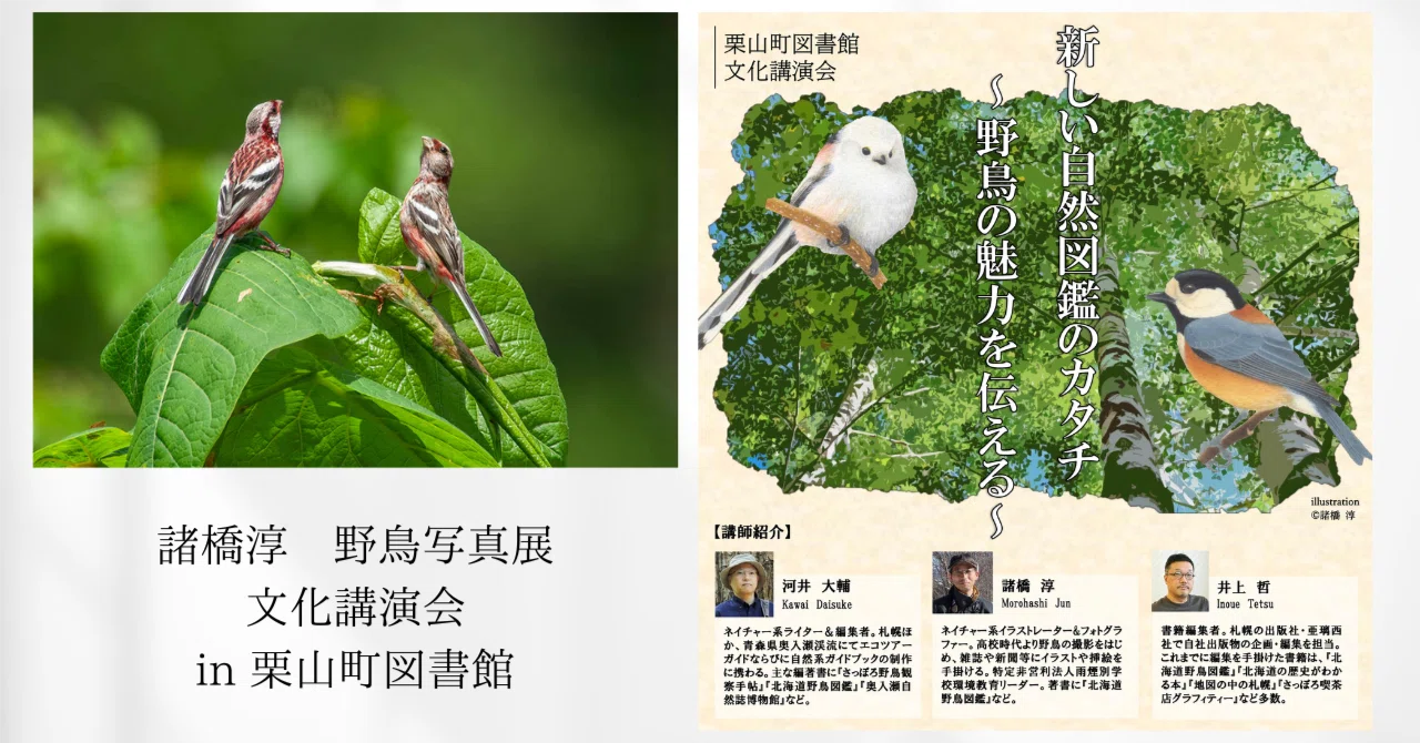 11/2-11/20諸橋淳さん野鳥写真展のお知らせ(11/17文化講演会）in栗山町