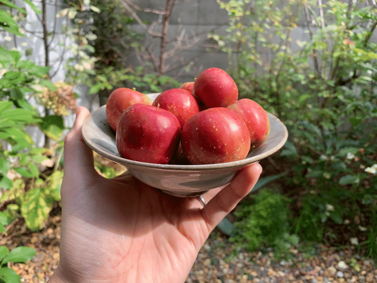 アルプス乙女りんごコンポートづくり 平屋私庭日記 31 ライツ社 アルプス乙女りんごコンポートづくり 平屋私庭日記 31 ライツ社