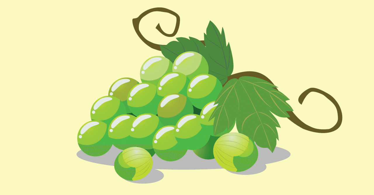 2024.10.17 GRAPEVINE The Decade Show Trad Gala｜ロボ子