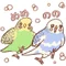 ミヤちゃんのラディッシュ畑