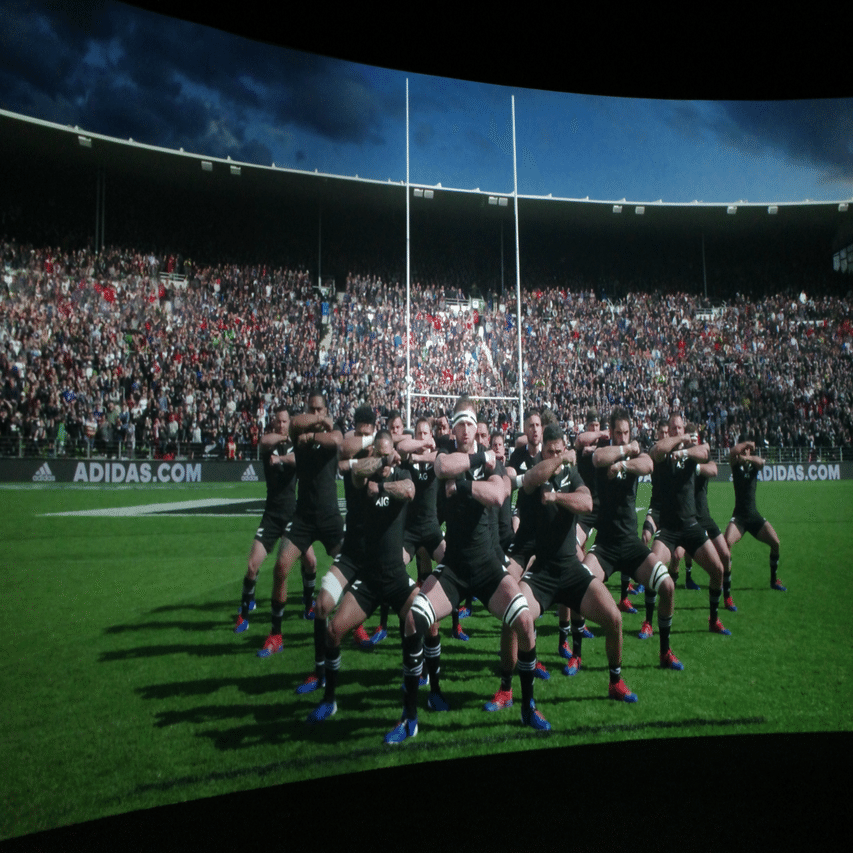 NZ旅行🇳🇿All Blacks Experienceへ｜pigashio