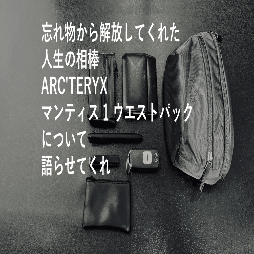 人生の相棒ARC'TERYX マンティス 1 ウエストパック｜ヨーケ