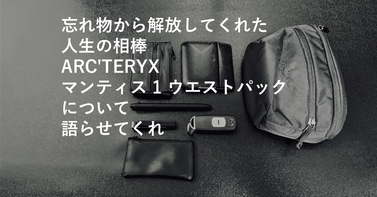人生の相棒ARC'TERYX マンティス 1 ウエストパック｜ヨーケ