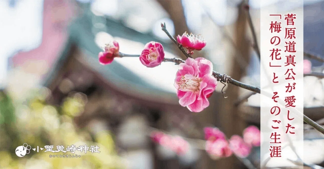 こよなく梅を愛した菅原道真公 その清らかなるご生涯｜小野照崎神社