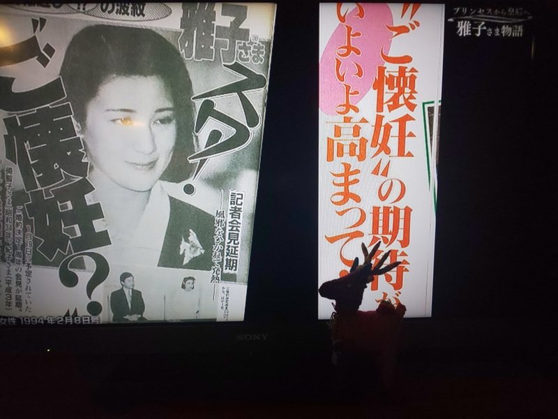 フジテレビドラマを見て雅子さまの辛さを知る 呉羽パオ Note