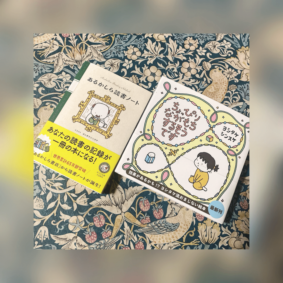 ちょっぴりながもちするそうです/ヨシタケシンスケ｜菜穂‬