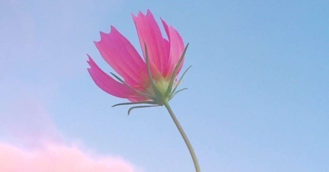 名前は 贈り物 であり ラベリング だと思う という話 たけうちりょう Note