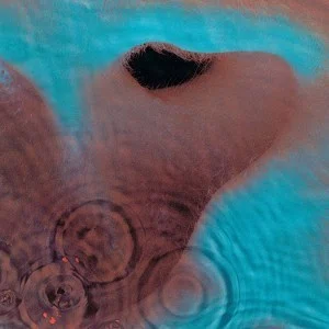 Pink Floyd Meddle（おせっかい）｜ちよじちゃん
