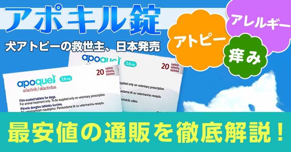 ダウンロード レボリューション 猫 楽天 100 で最高の画像