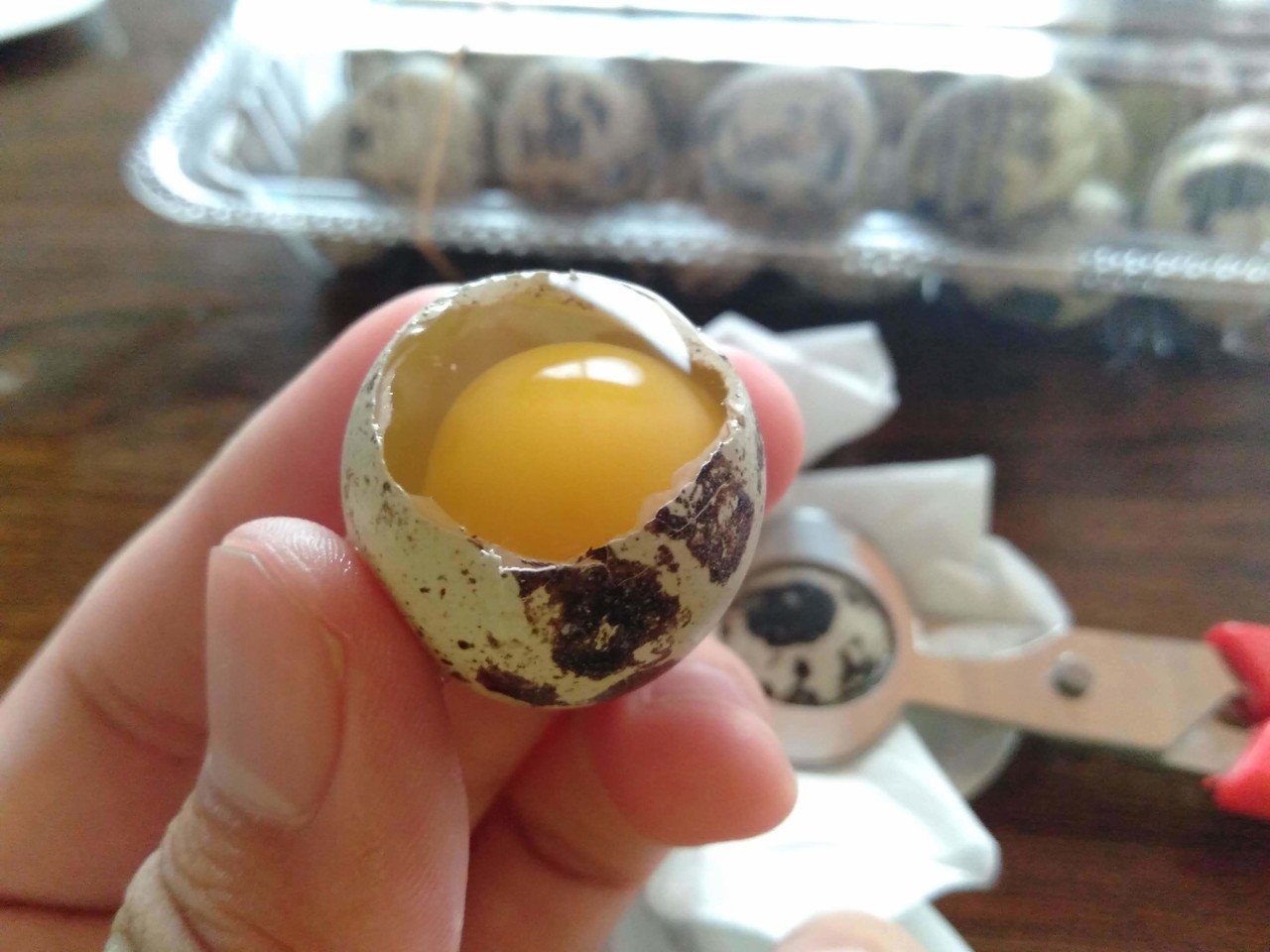 ウズラの人が教える本当に美味しいウズラの卵の食べ方 コミュニティ貿易商 北 祐介 Seizogakuen Note ウズラの人が教える本当に美味しいウズラの卵の食べ方 コミュニティ貿易商 北 祐介 Seizogakuen Note