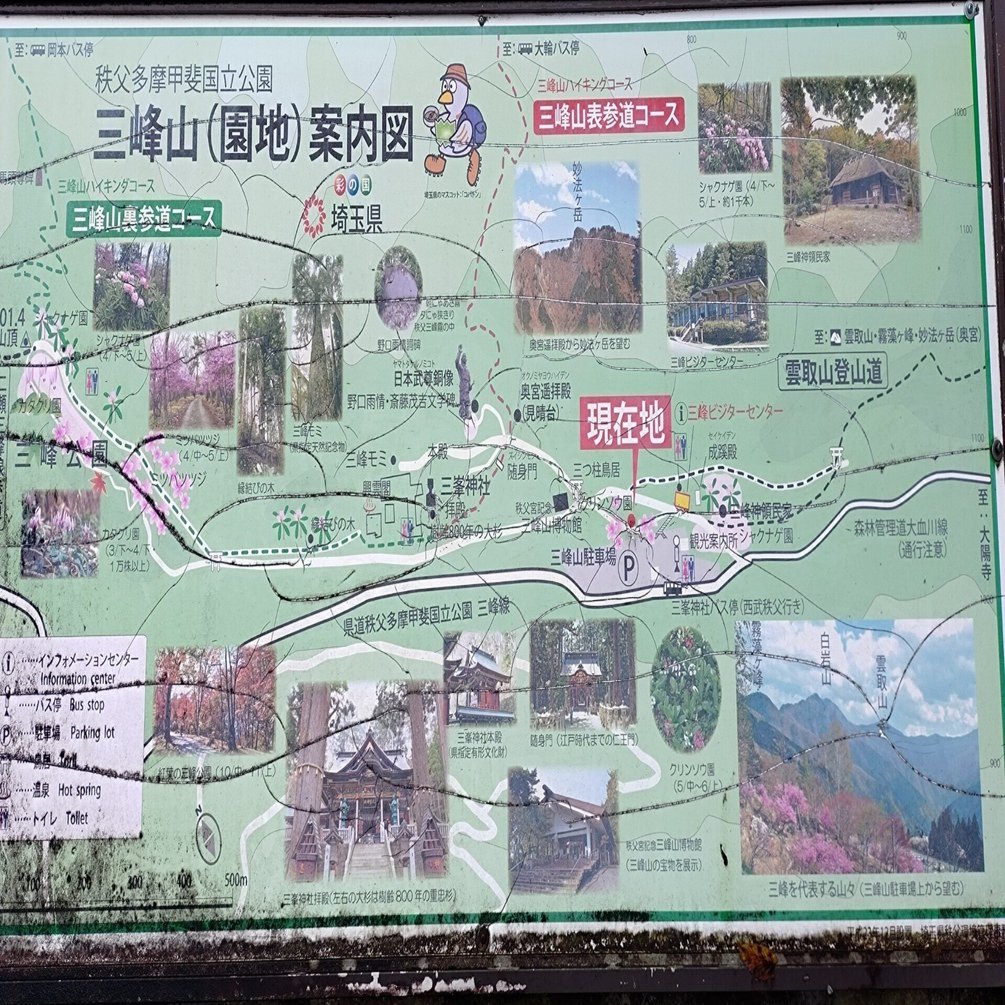 紅葉初期のはずが霧雨だった三峯神社（2024年10月25日）｜俺のくるみそば