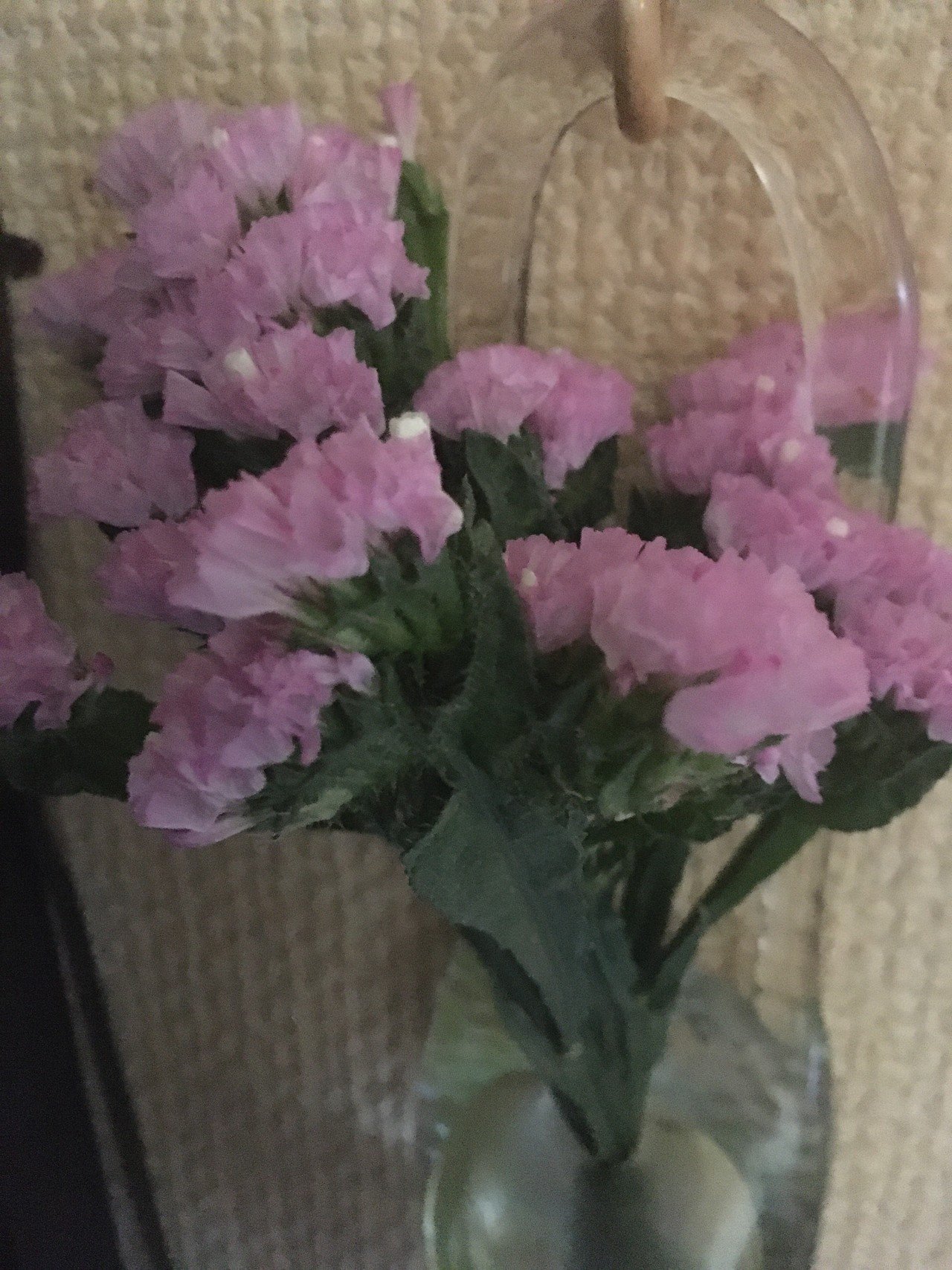 花言葉 知らねどコレは 恋の華 6556 Note