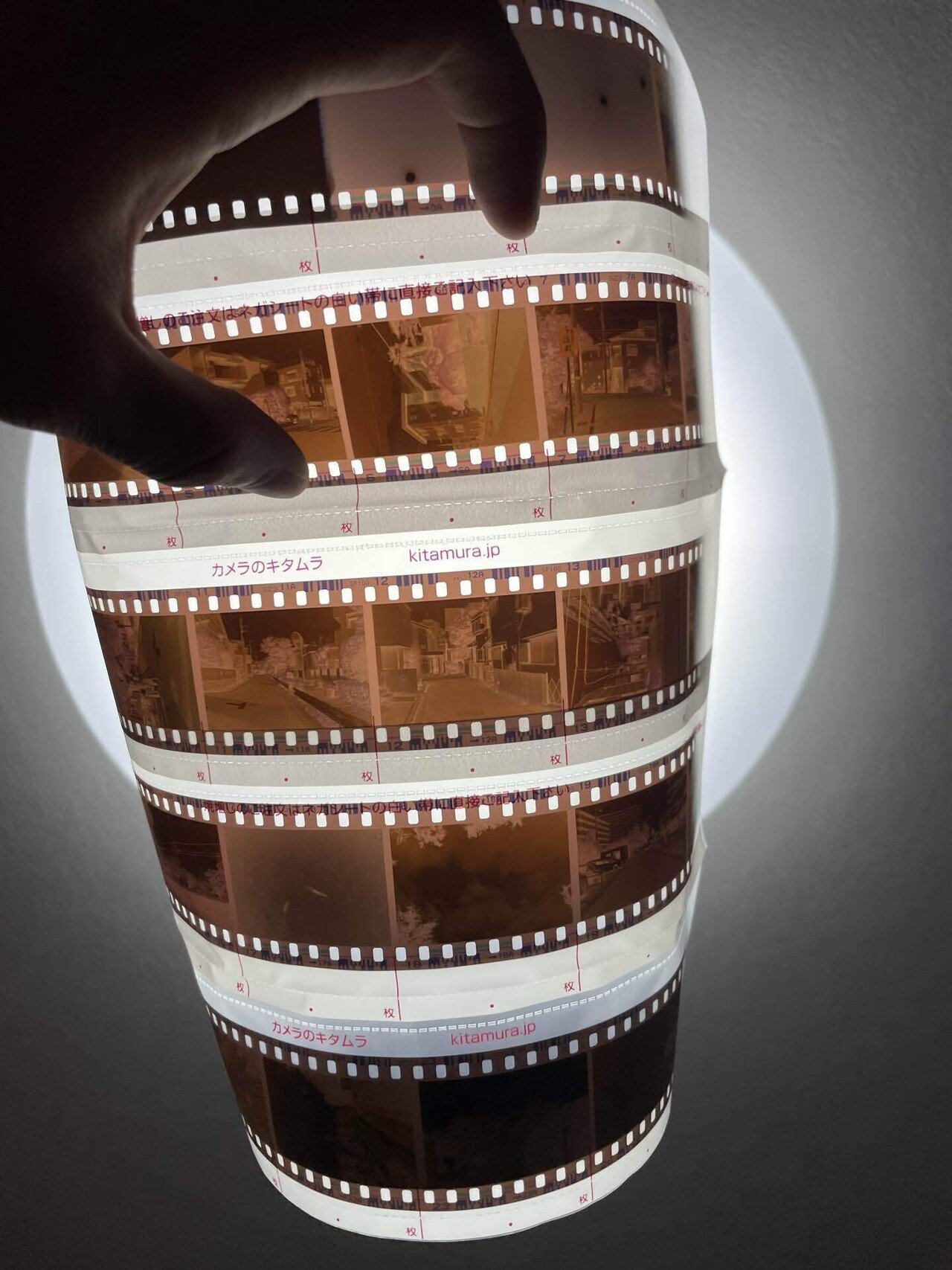 期限切れ Fuji Super100｜うめけん