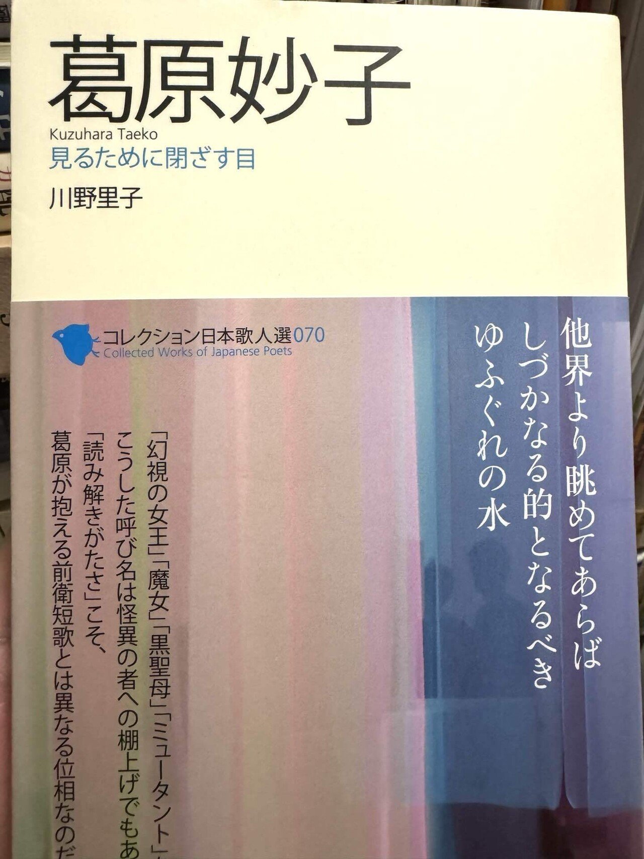 葛原妙子の短歌一首「疾風は うたごゑを攫ふ きれぎれに さんた