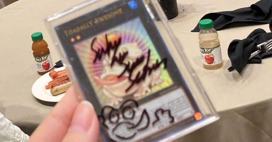 WCS2024 使用デッキ解説｜週刊へいろーず