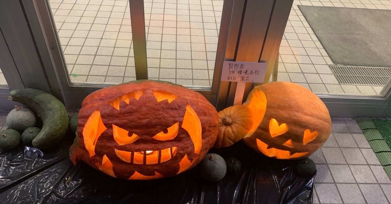 ハロウィン★カボチャジュース 24488-1884-