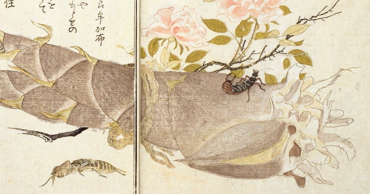 蔦屋重三郎と喜多川歌麿のタッグが生んだ『画本虫ゑらみ』……国立