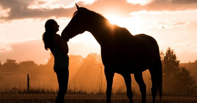 【良い見本を紹介②】　スピードの絶対値が異なる馬はあの部位において他馬と異なる！