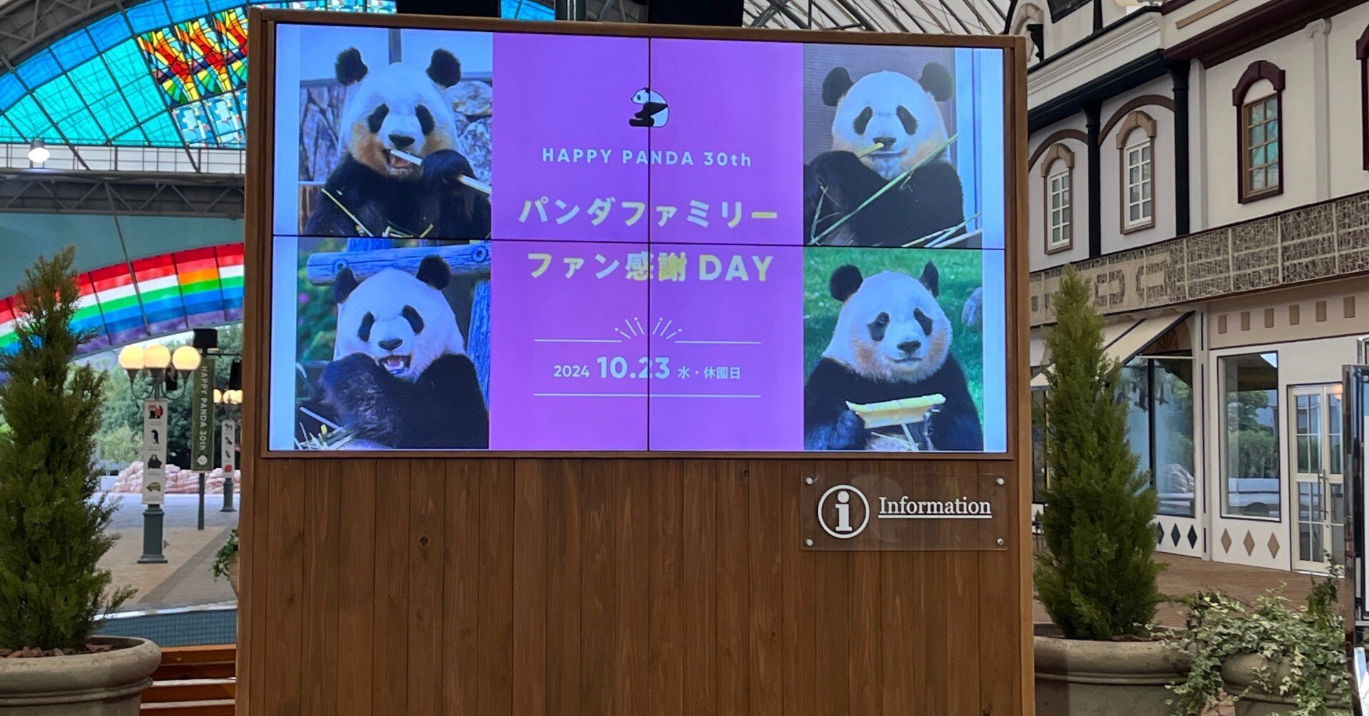 感謝DAY②｜柚子