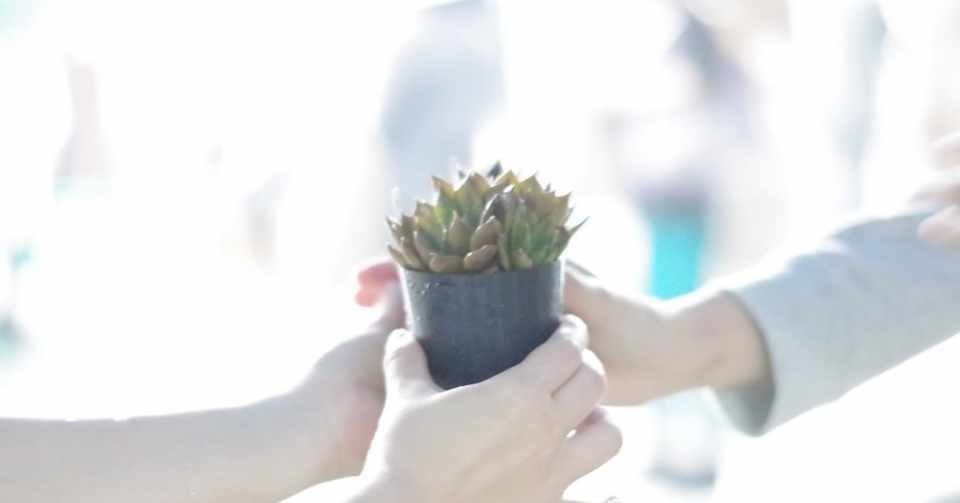 35歳まで本当のスキンケアを知らなかった私が美容を伝える理由 あやこ 爪と肌の美容専門家 Note