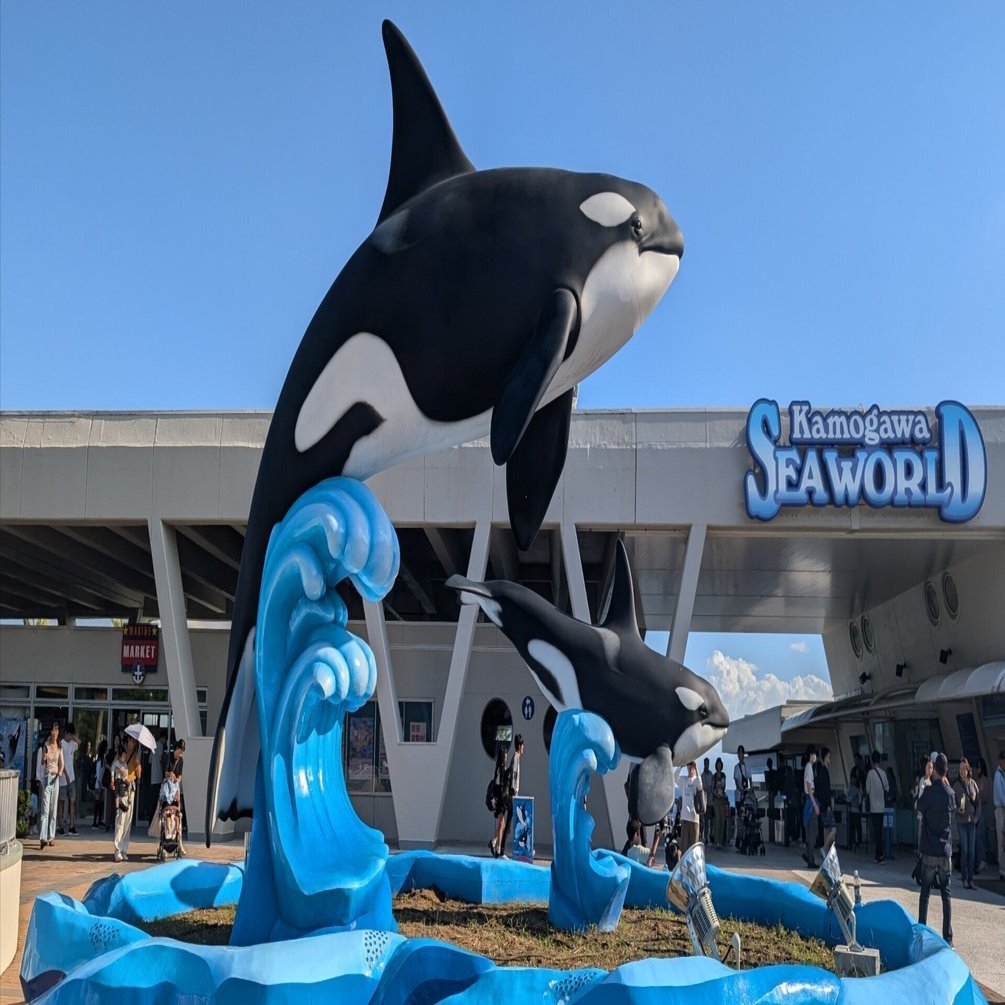 たくさん歩く(鴨川シーワールド1)#528｜やん（矢野達也）