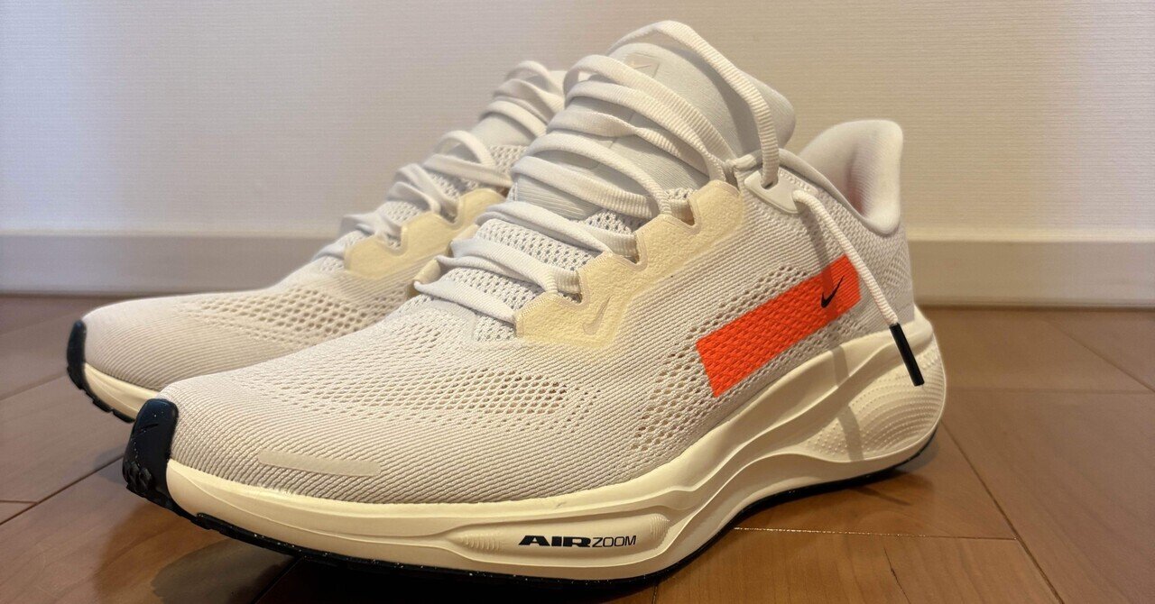 ペガサス41 prequel Nike Pegasus 41 