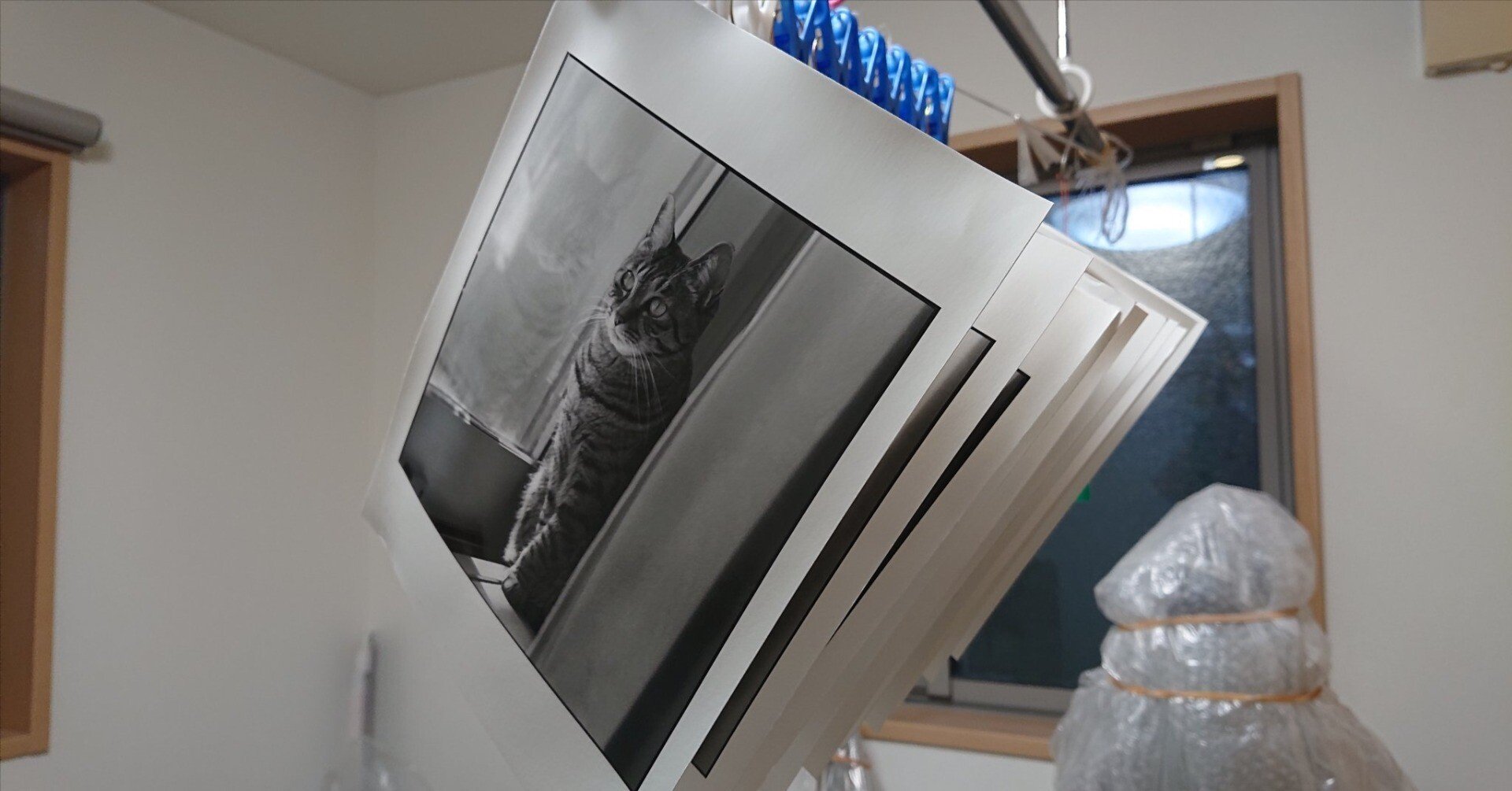 引き伸ばし機用レンズのはなし2｜satoitsu（さといつ）