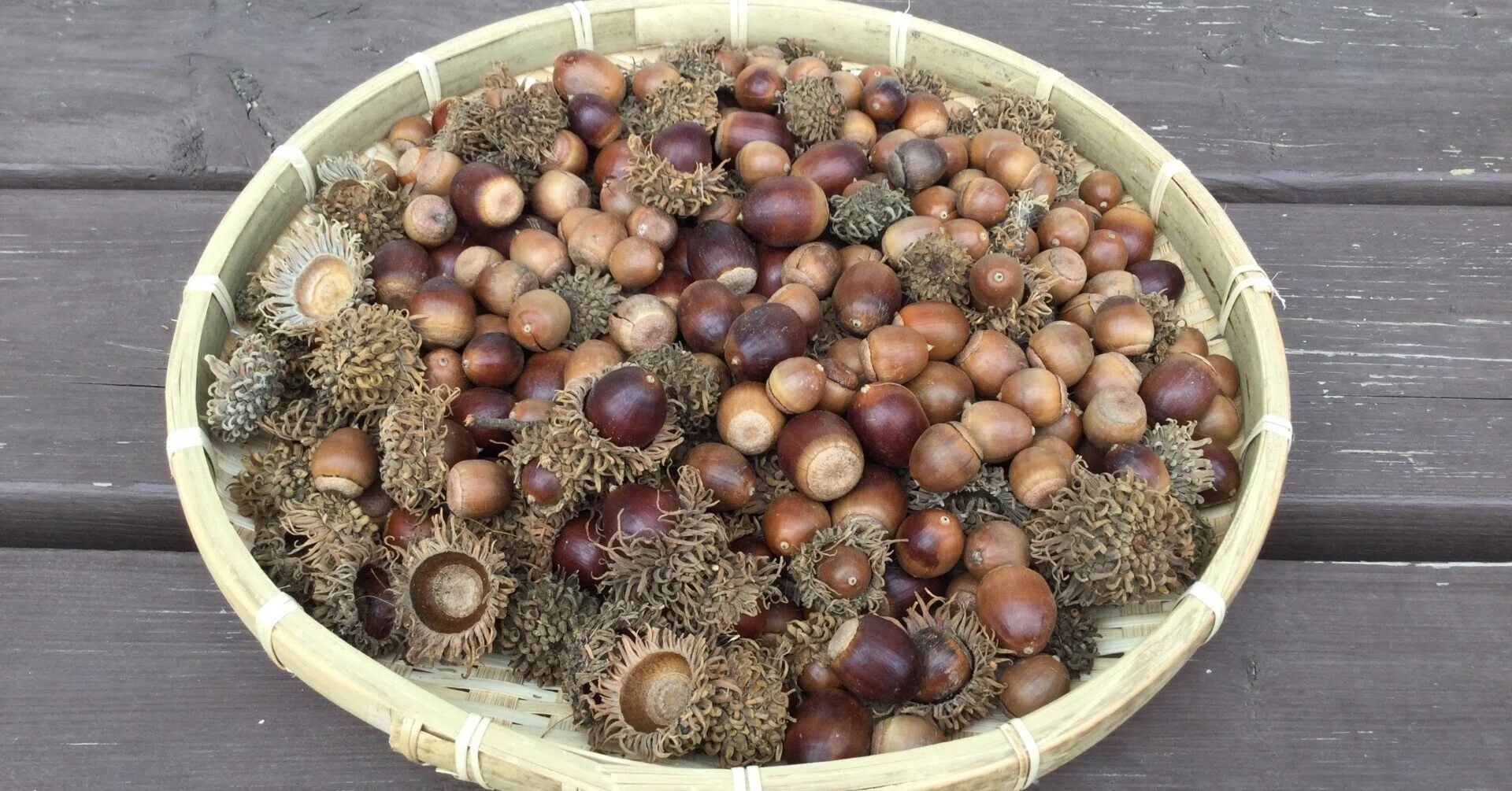 どんぐり染め (Acorn dyeing)｜福元菜穂美 (Nahomi)