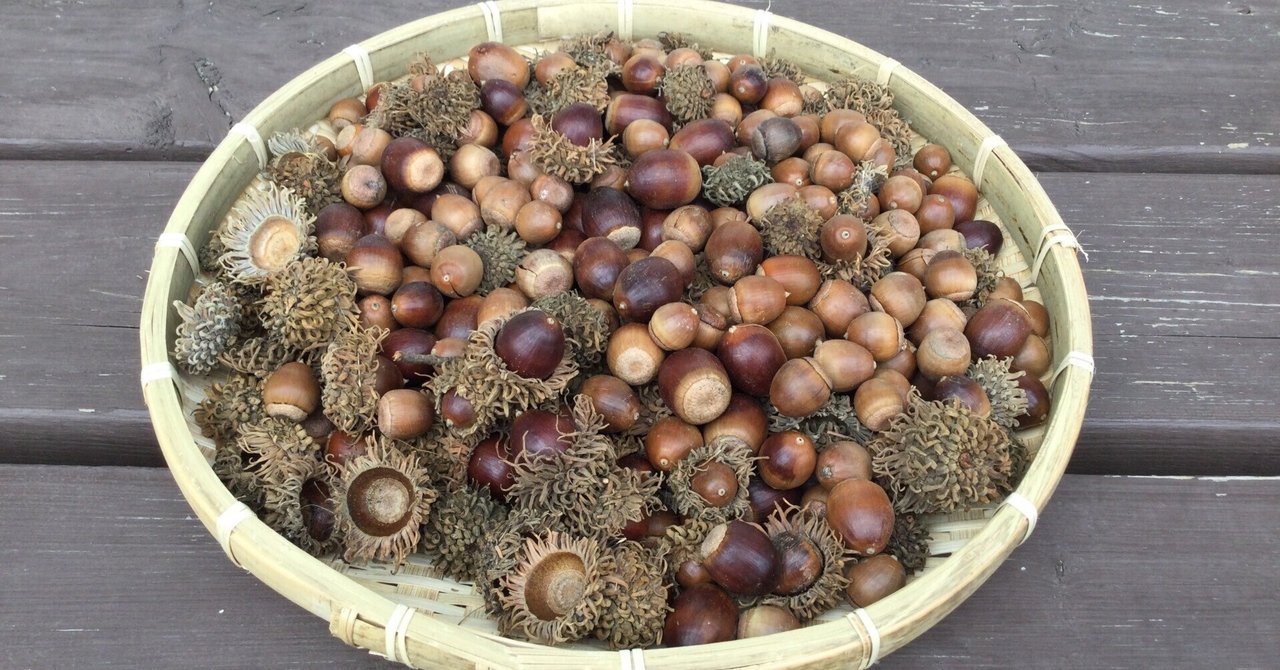 どんぐり染め (Acorn dyeing)｜福元菜穂美 (Nahomi)